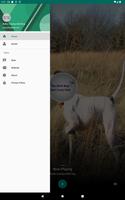 Burke County's Bird Dog screenshot 3