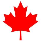 ikon Canada Immigration