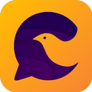 Chatzy: Online Chat Rooms APK