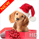 عيد الميلاد الكلب خلفيات HD APK