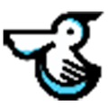 Cleanerduck