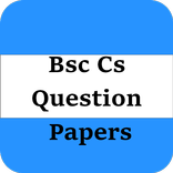 BSC CS Question Papers 2023