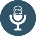 Google Voice Translator Pro