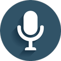 ”Google Voice Translator