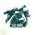 CricRadio - Live Cricket Score
