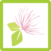 CUBEMS icon