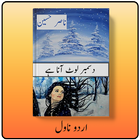 December loat ana tum by Nasir Hussain urdu novel icône