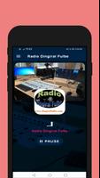 Radio Dingiral fulbe Officiel poster