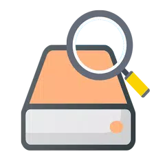Baixar Disk Video Recovery Pro APK