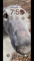 Long Nose Dog Wallpapers 4k スクリーンショット 3