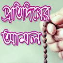 প্রতি দিনের আমল - protidiner amol APK