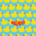 Duck Pattern Wallpapers icon