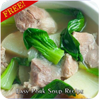 Easy Pork Soup Cook Recipe icône