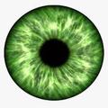 My Eyes
