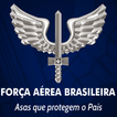 Força Aérea Brasileira ikon