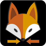 Fox Motorista Particular icône