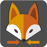 Fox Passageiro icône