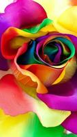 Love Roses Live Wall GIF/4K 截圖 2