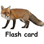 Flashcard English for beginner Zeichen