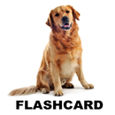 Flashcard Japanese Beginner APK