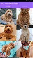 Golden Doodle Dog Wallpaper الملصق