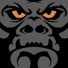 Gorilla Fleet Intelligence-icoon