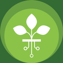 Groots APK
