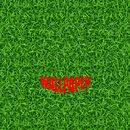 Grass Pattern Wallpapers APK