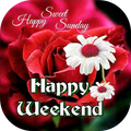 ”Happy Weekend Images Gif