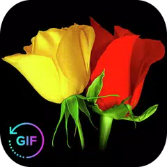 Flower Rose Animated Image Gif アプリダウンロード