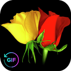 Flower Rose Animated Image Gif icône