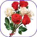 Flowers And Roses Animated Gif APK