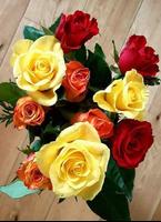 Flowers And Roses Animated Gif 스크린샷 2