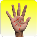 How to read palm lines APK