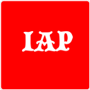 IAP Test APK