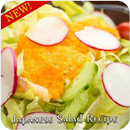 Japanese Salad Recipe APK