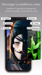 Descargar APK de Fondo de pantalla y fondo gratis