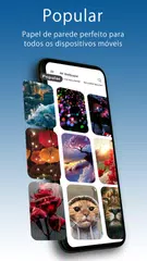 Baixar Papel de Parede e Fundo Grátis APK