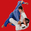 Jiu-Jitsu Waza icon