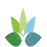 Jones Mindful Living and DBT S