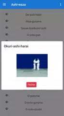 Judô Waza XAPK Herunterladen