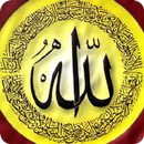 كلمة الله APK