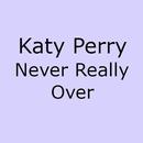 Katy Perry - Never Really Over Lyrics APK