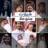 تجميع أروع شيلات  2022