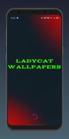 LadyCat 4k Wallpaper | Free LadyBird Wallpapers Affiche