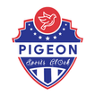 Pigeon Sports Clock