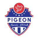 Pigeon Sports Clock aplikacja