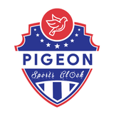 Pigeon Sports Clock icon