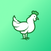 Live Chicken APK