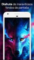 Lobo Fondos de Pantalla โปสเตอร์